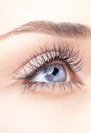Brow and Lash Treatments